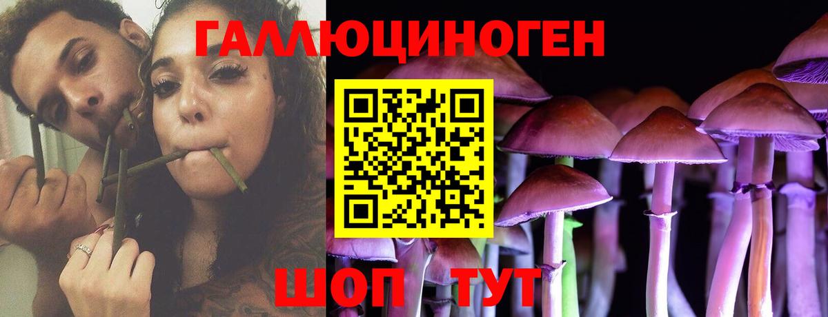 Йошкар-Ола  Псилоцибиновые грибы мухоморы  Вход с VPN  Псилоцибиновые грибы GOLDEN TEACHER 